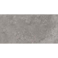 Roma 30x60 Grey Gloss Tile
